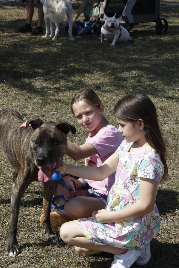 Woofstock_20250208 (64)