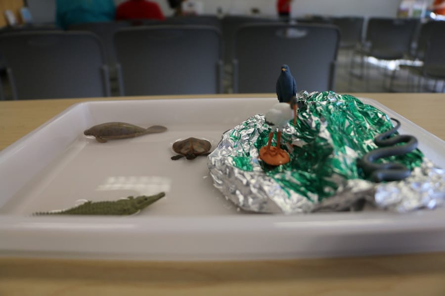 Go Green with Parks_20250215 (6)