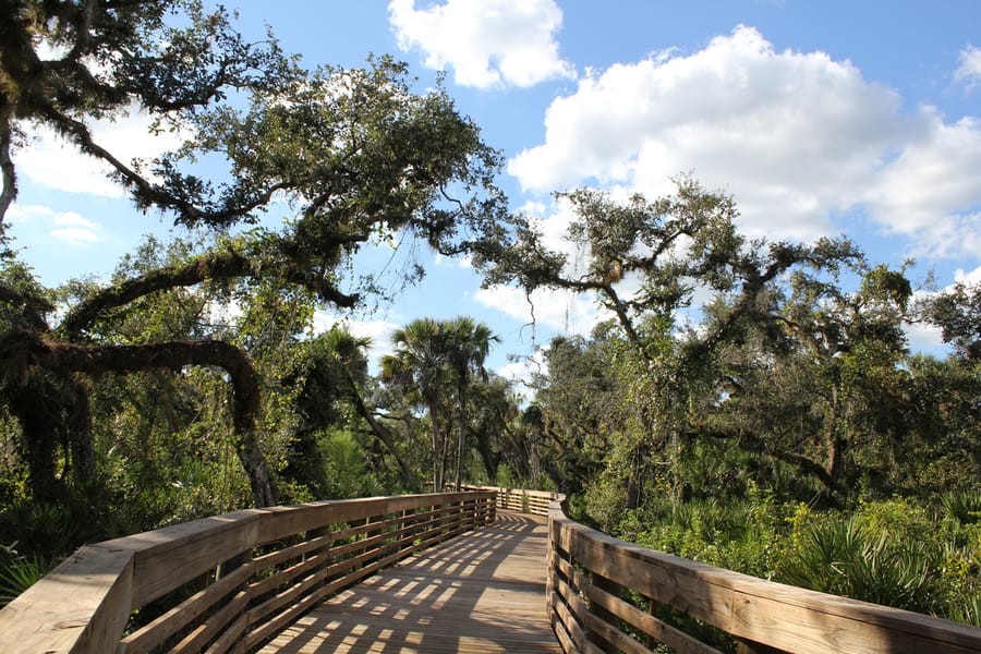 Myakkahatchee_Creek_Greenway_Nature Trail_101823 (5)