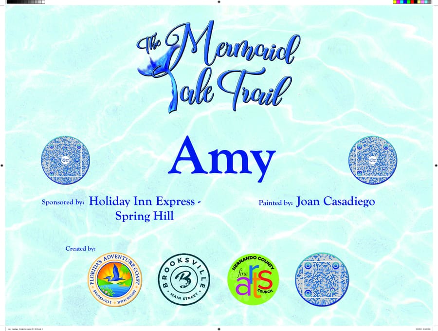 Amy - Casadiego - Holiday Inn Express SH - SIGN