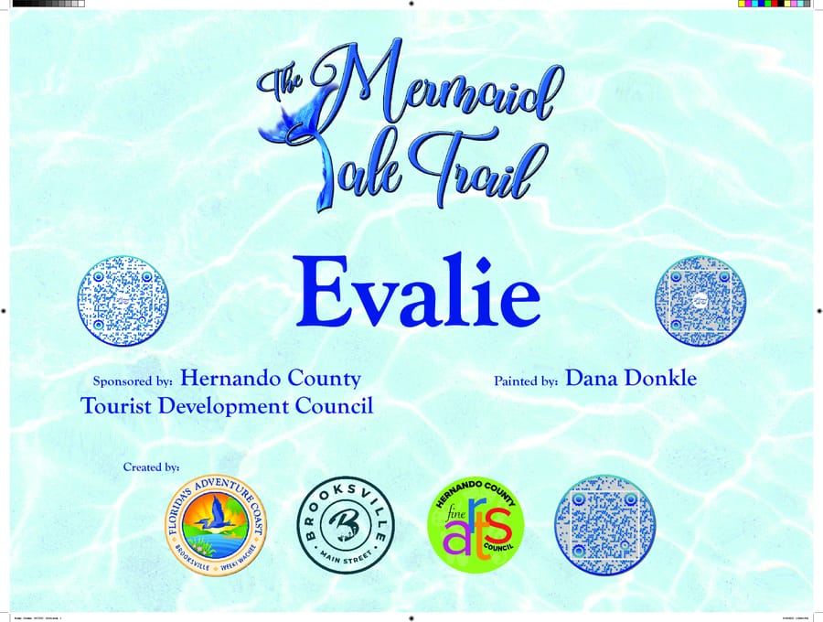 Evalie - Donkle - HCTDC - SIGN