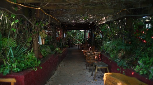 Entrance of The Garlic (16)