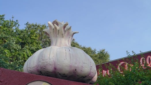 Sign for The Garlic (16)