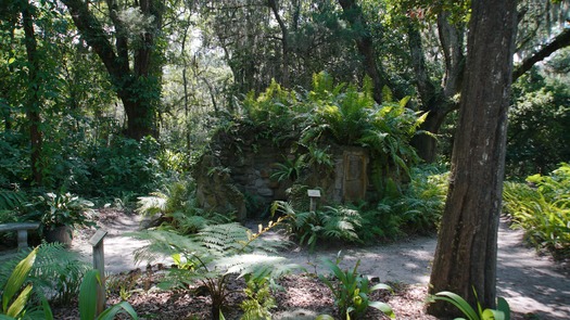 Sugar Mill Botanical Gardens (16)