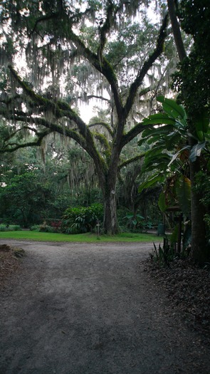 Sugar Mill Botanical Gardens (16)