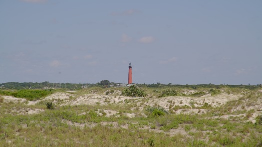 View of Ponce Inlet Lighthouse from Smyrna Dunes Park (16)