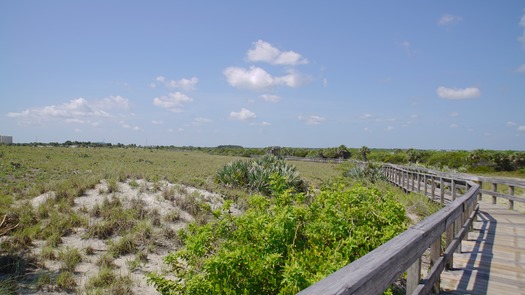 Smyrna Dunes Park (16)