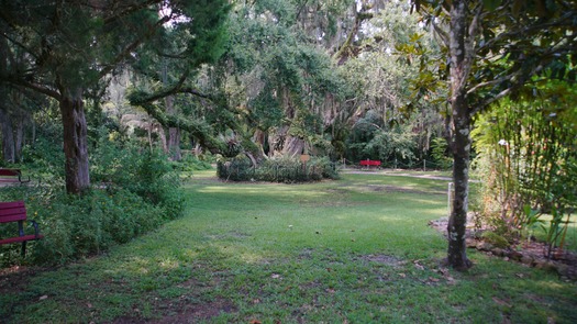 Sugar Mill Botanical Gardens (16)