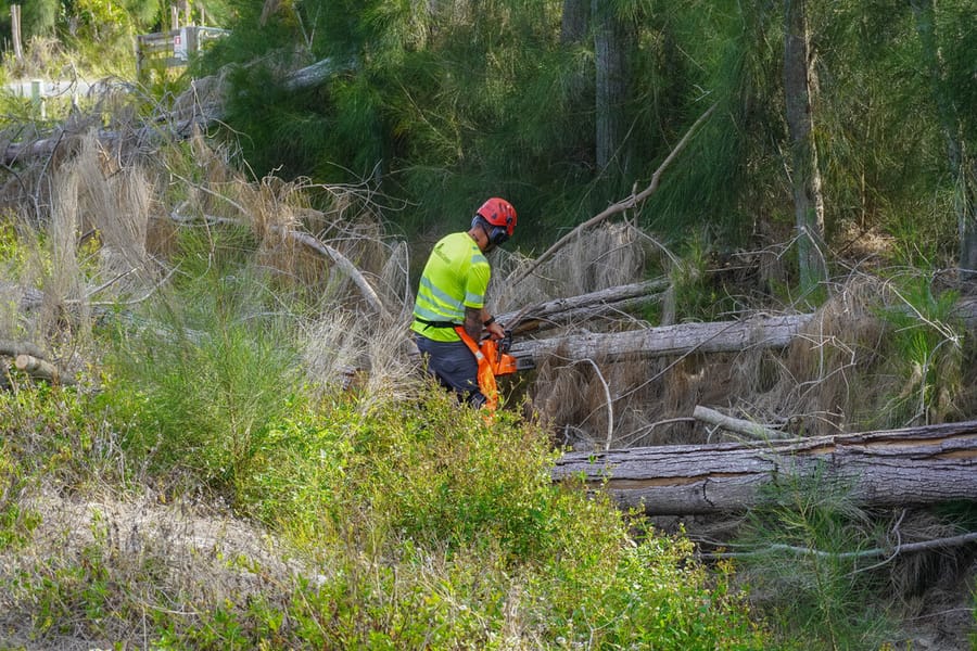 20250422_Clearing Debris_SB-7