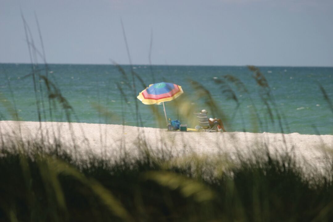 Sea Oats at Manatee Beach