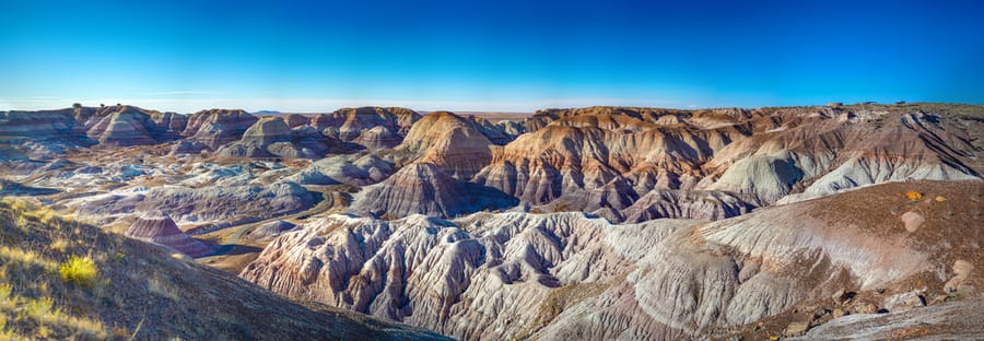 Holbrook - Petrified Forest Panorama_credit Arizona Office of Tourism_04-25(3)