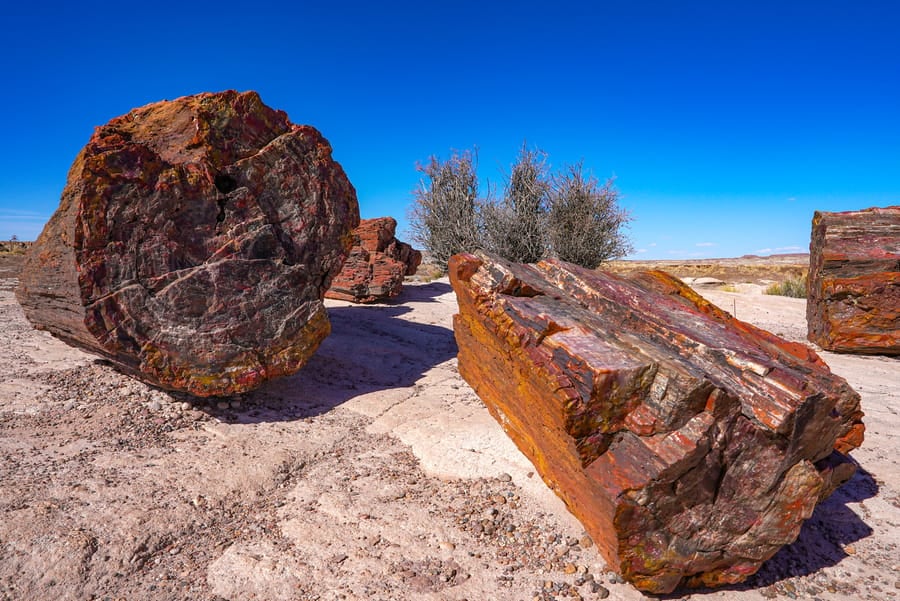 Holbrook - Petrified Forest_credit Arizona Office of Tourism_04-25(11)