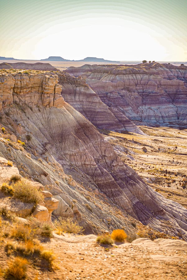 Holbrook - Petrified Forest_credit Arizona Office of Tourism_04-25(9)