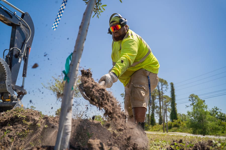 Operations Tree Planting-24