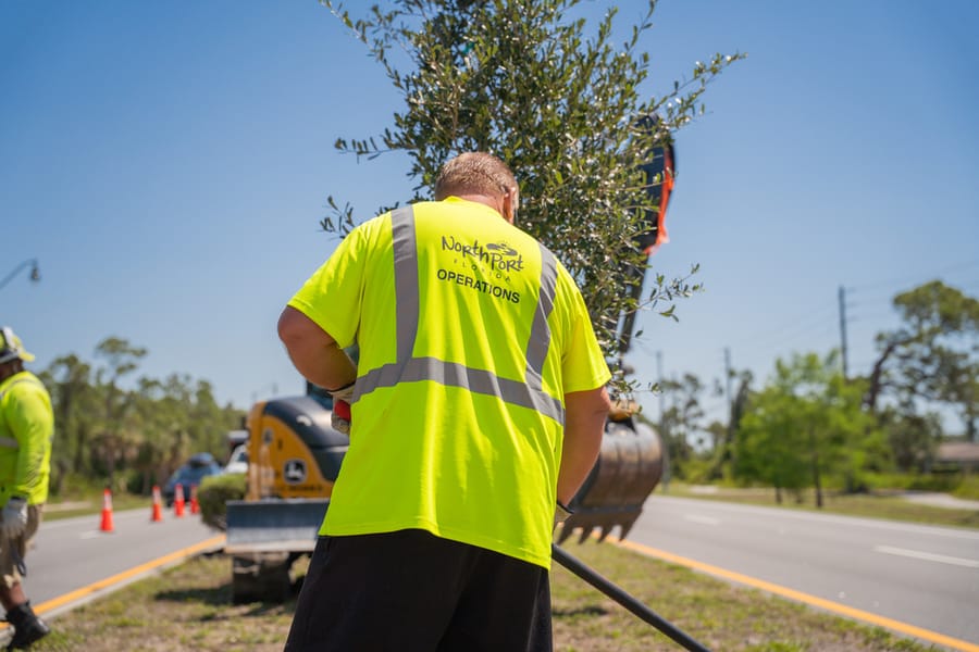 Operations Tree Planting-13