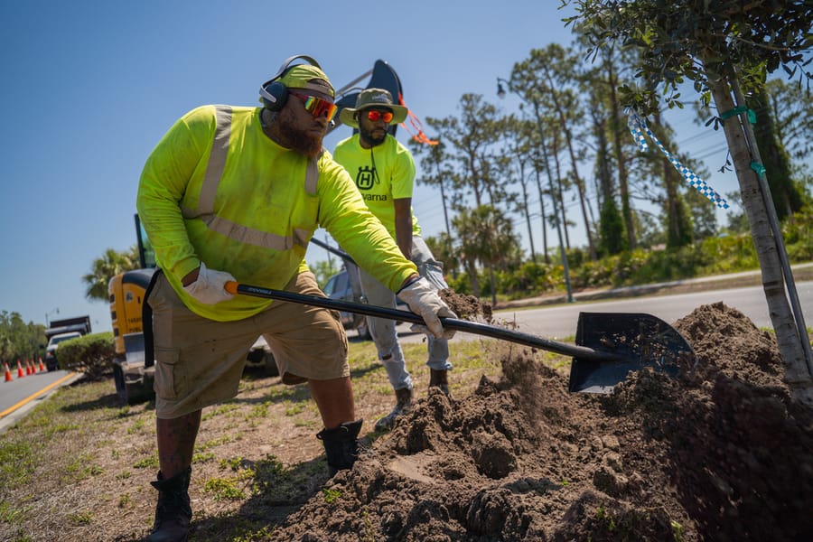 Operations Tree Planting-9