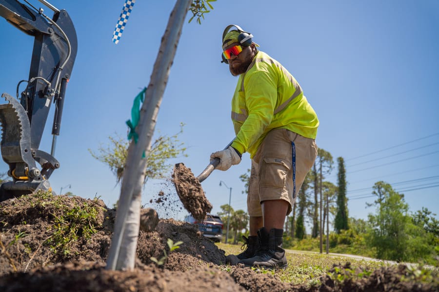 Operations Tree Planting-23
