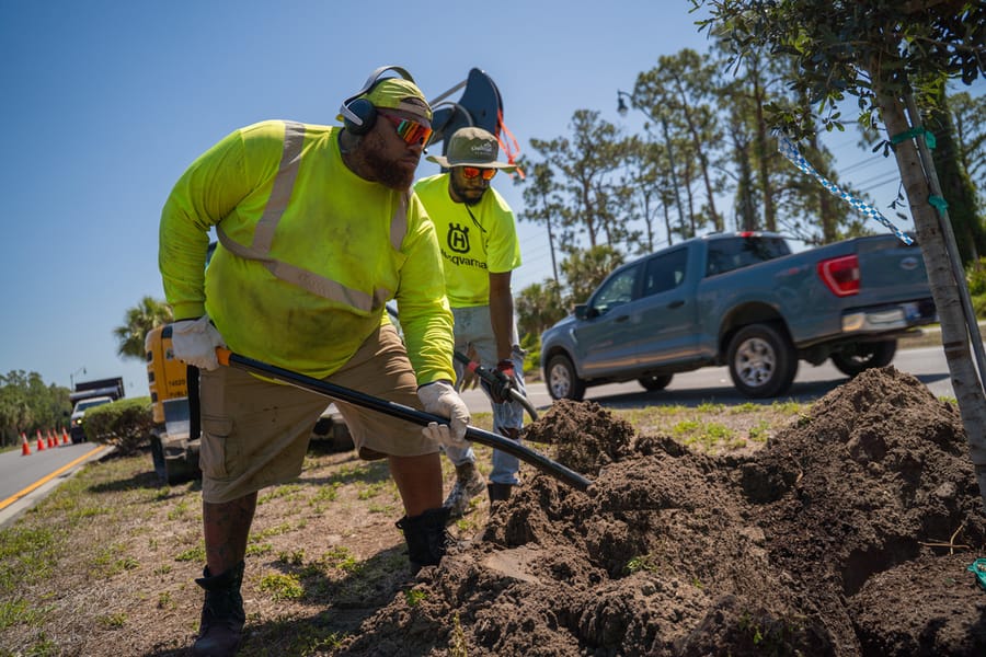 Operations Tree Planting-8