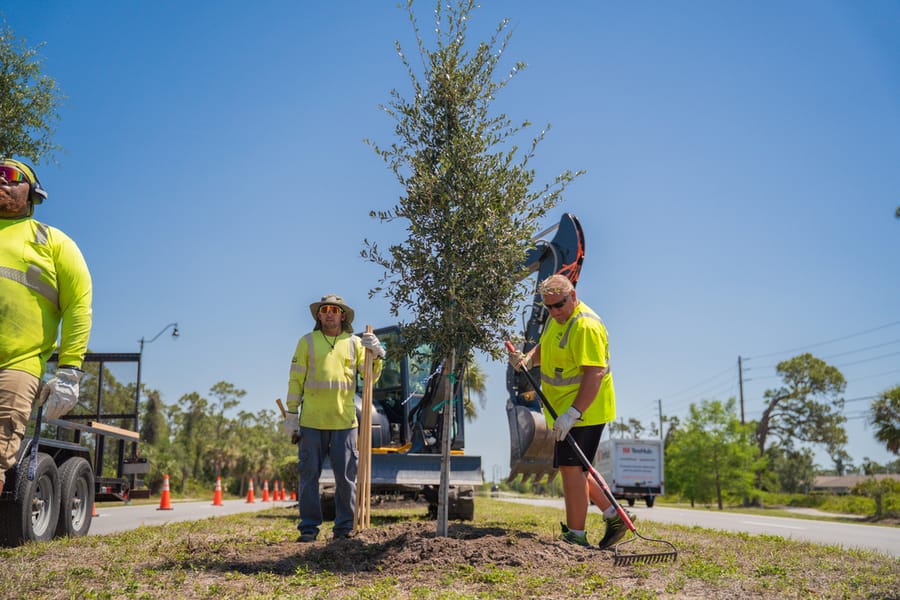 Operations Tree Planting-14