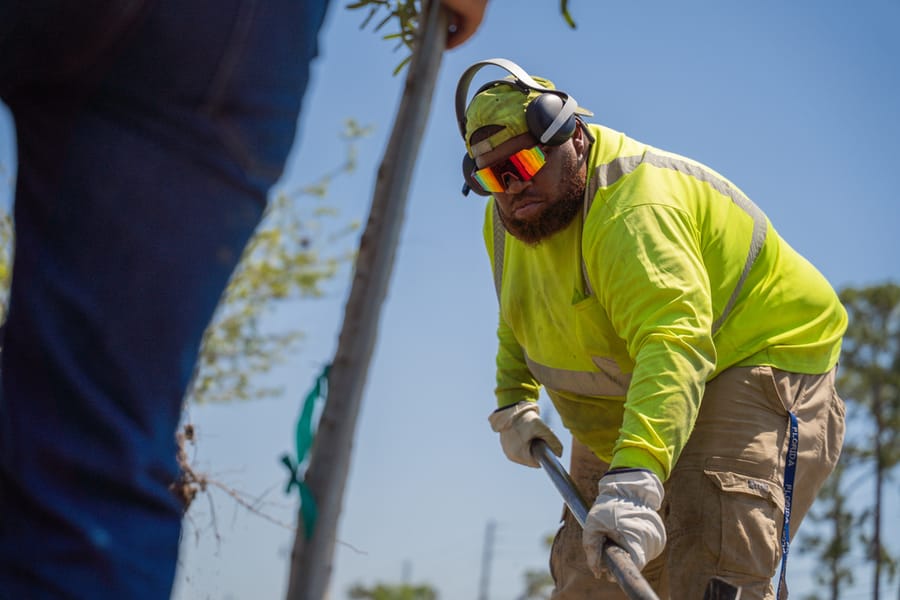 Operations Tree Planting-25