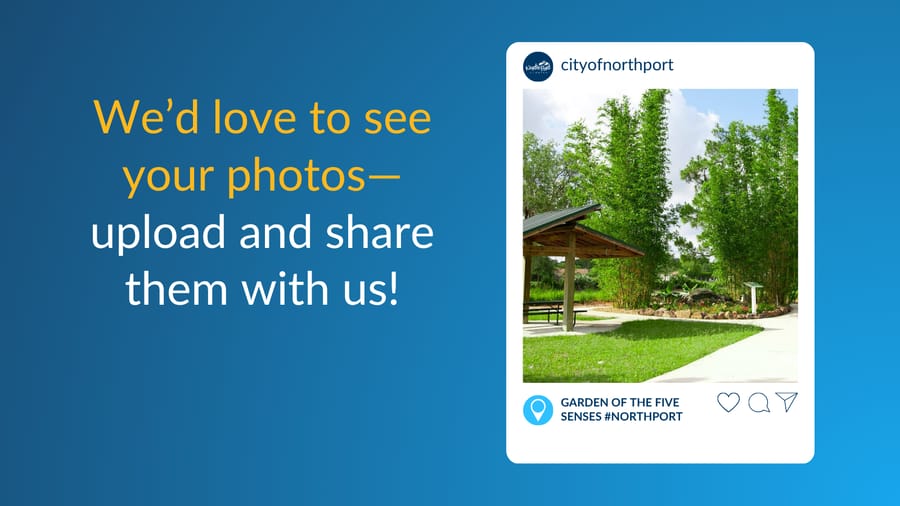 Photo upload graphic X - 1