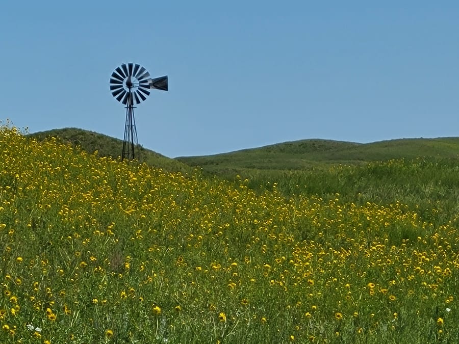 Niobrara Valley Vineyard