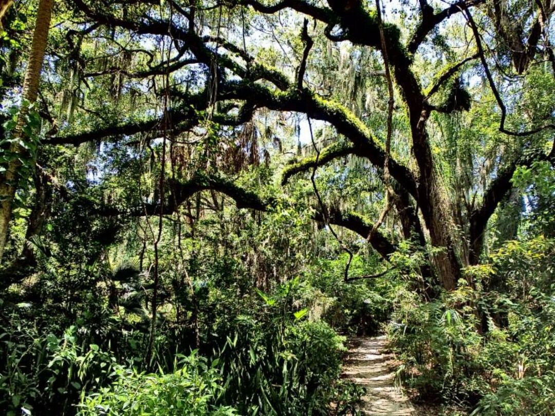Rye Preserve