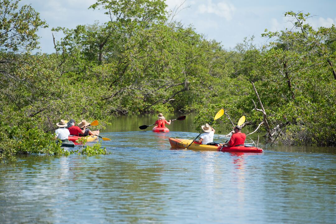Kayaking at a Preserve