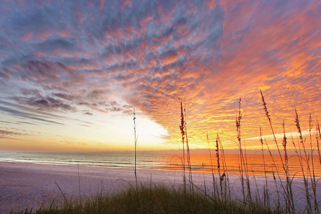 Anna Maria Island Beach Sunset