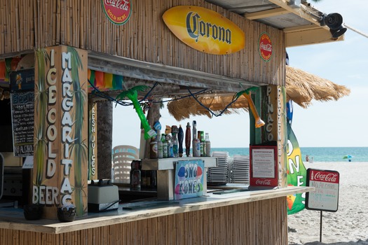 Manatee Public Beach\
