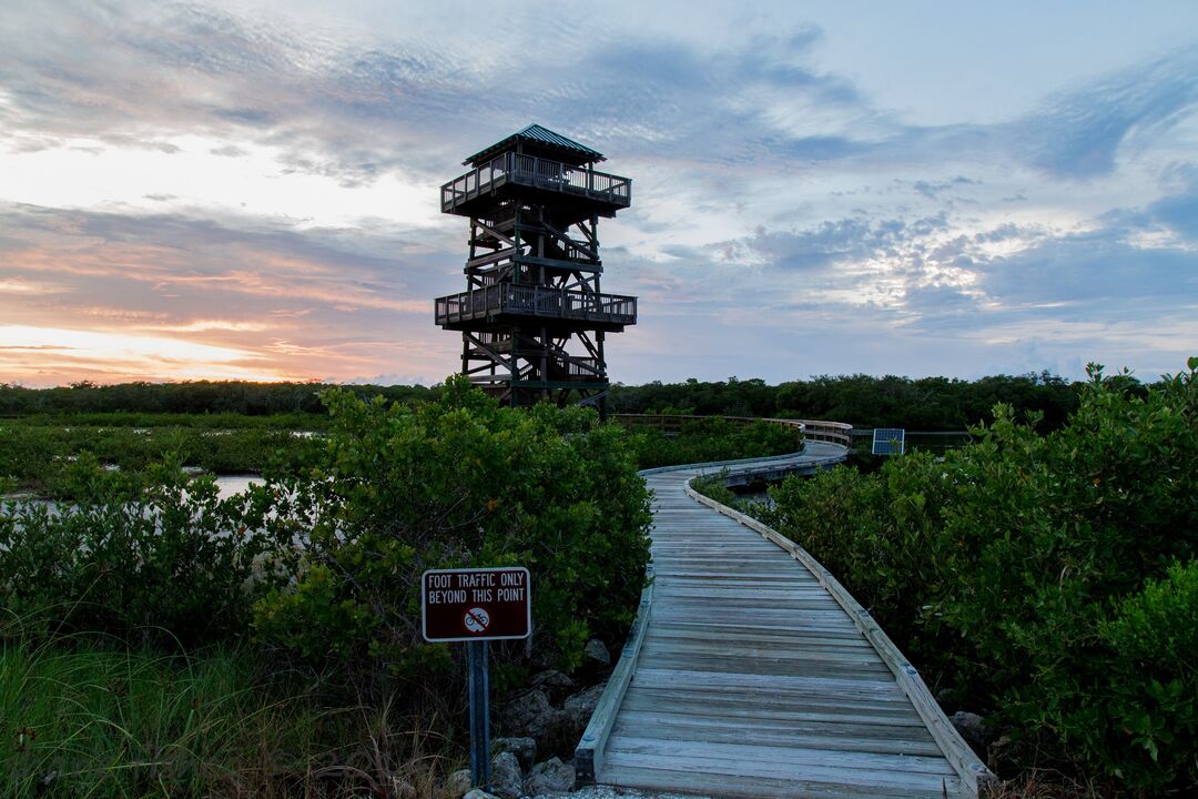 Robinson Preserve Tower