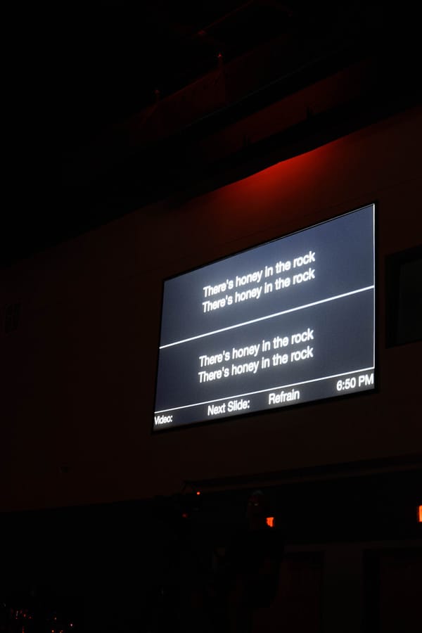 DSC_1314-Enhanced-NR