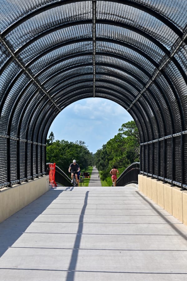 20250617_BeeRidgePedestrianOverpass_06_SD