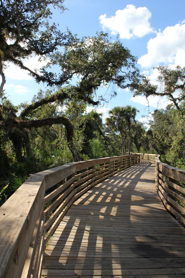 Myakkahatchee_Creek_Greenway_Nature Trail_101823 (6)
