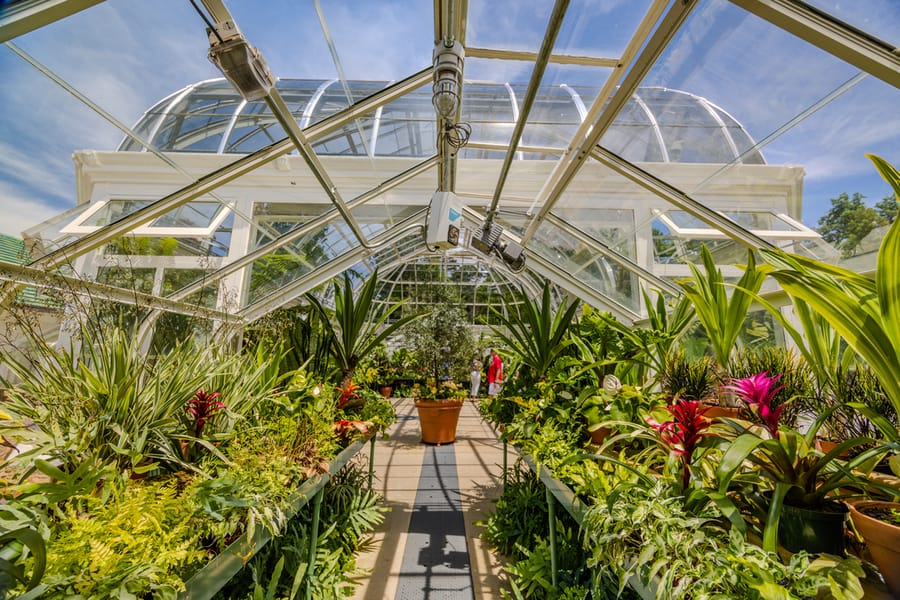 Reynolda Gardens greenhouse 20250523 Jared Kay