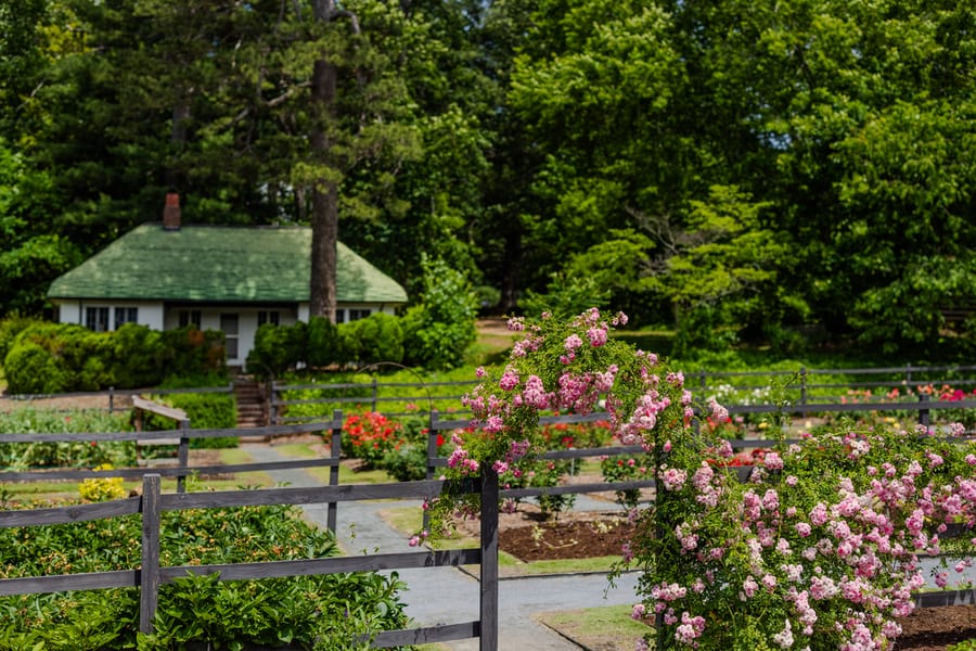 Reynolda Gardens 20250523 Jared Kay
