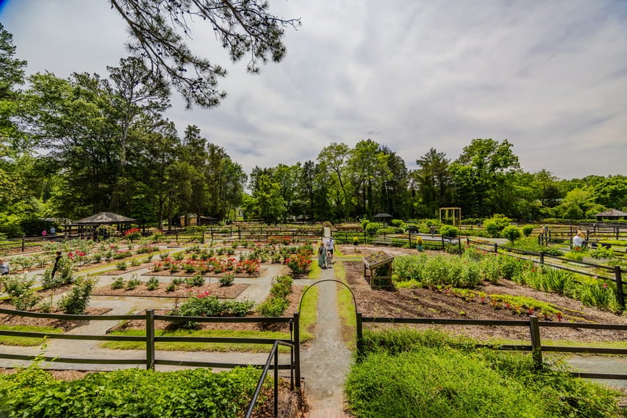 Reynolda Gardens 20250523 Jared Kay