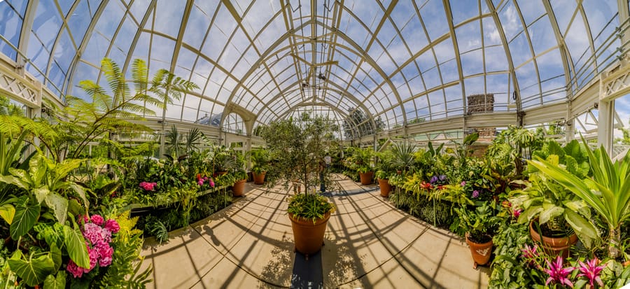 Reynolda Gardens greenhouse 20250523 Jared Kay