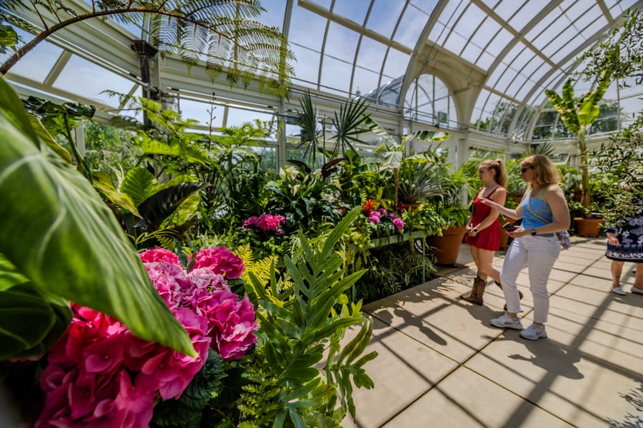 Reynolda Gardens greenhouse 20250523 Jared Kay