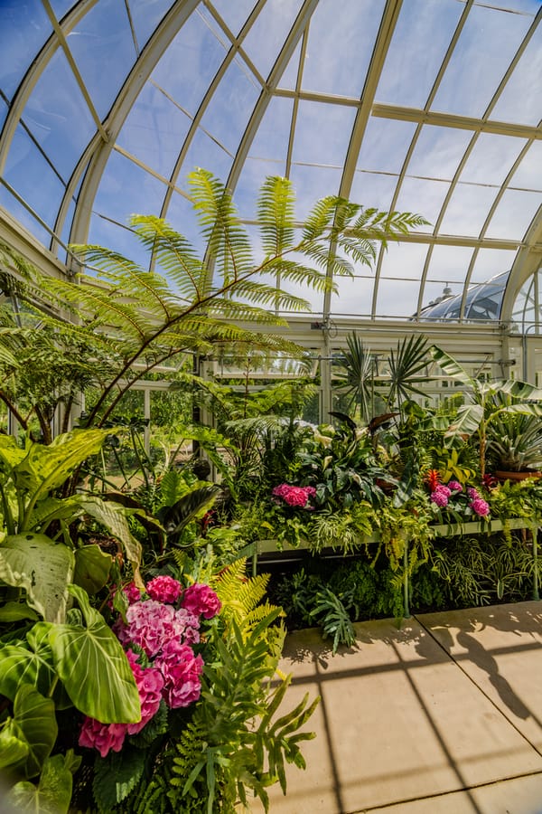 Reynolda Gardens greenhouse 20250523 Jared Kay