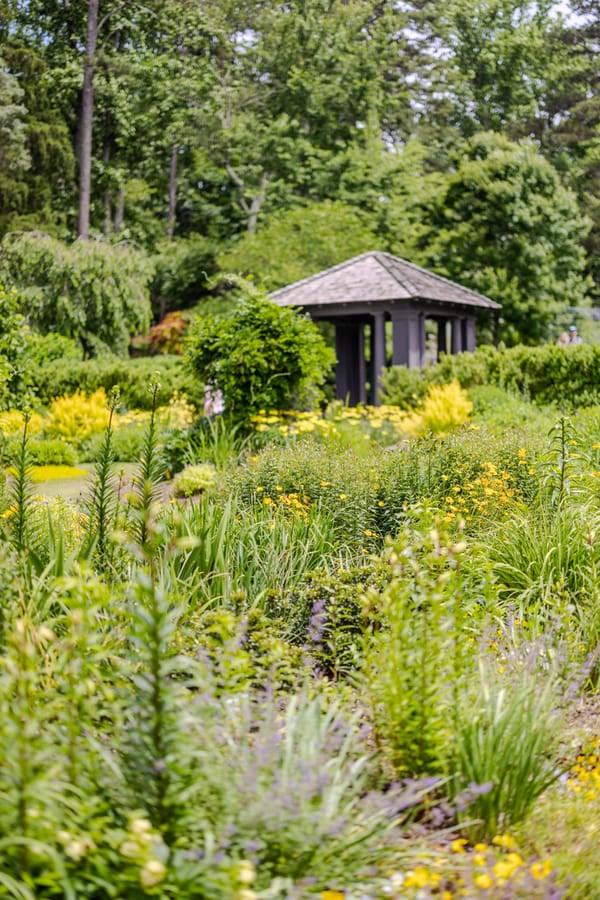Reynolda Gardens 20250523 Jared Kay