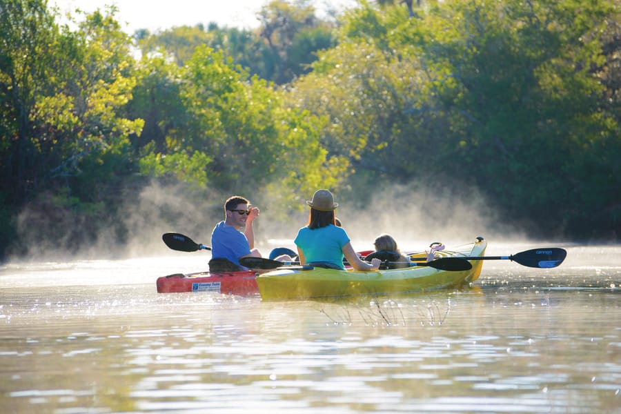 Kayak