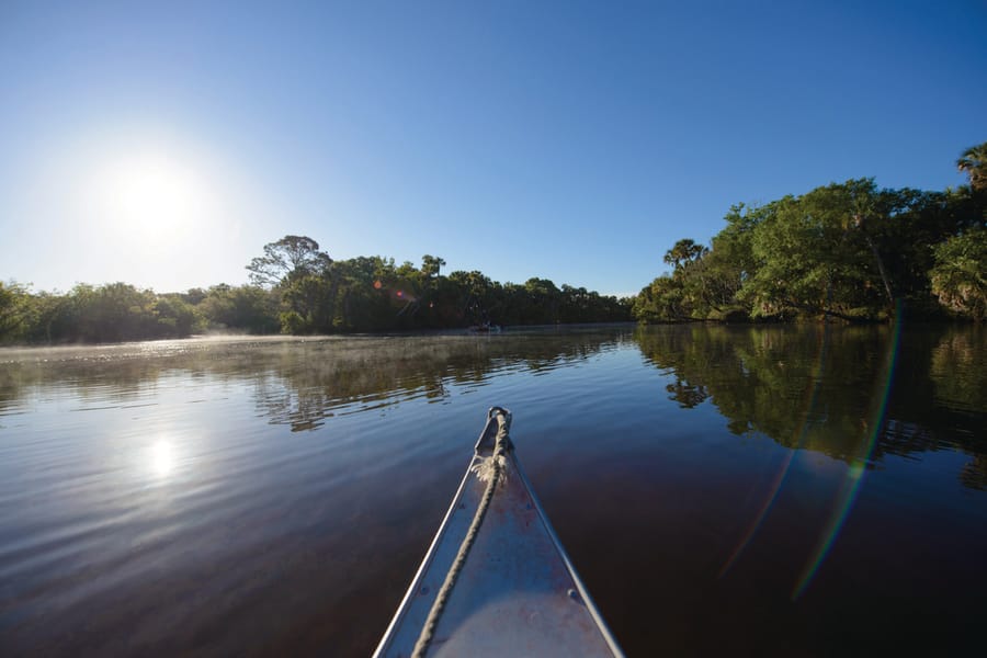 Kayak