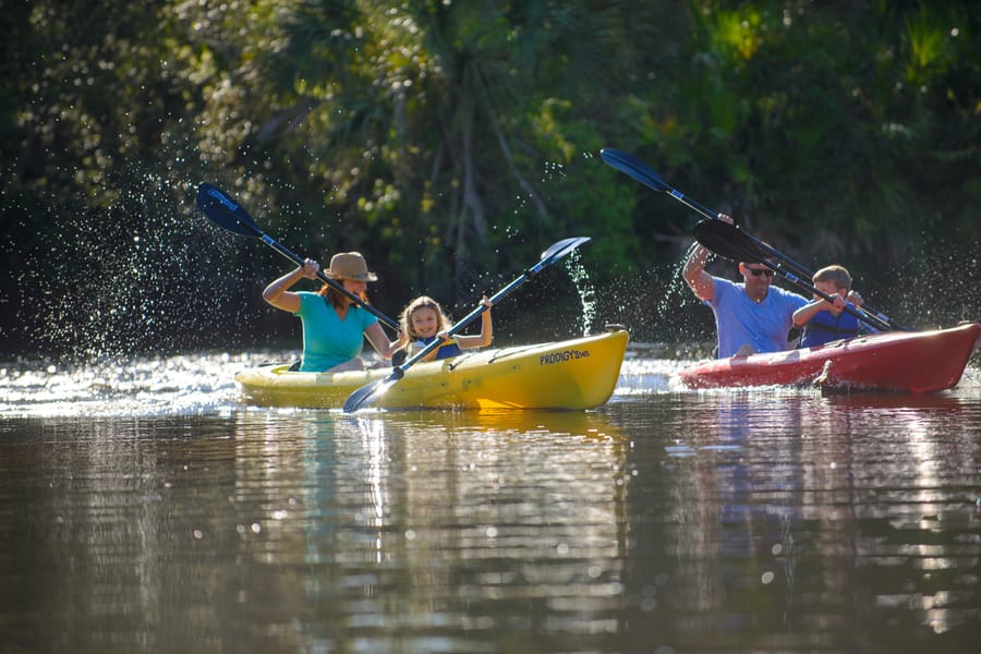 Kayak