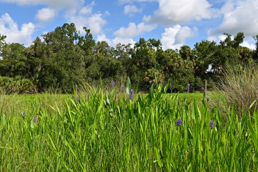 20250723_WaltonRanch_026_SD