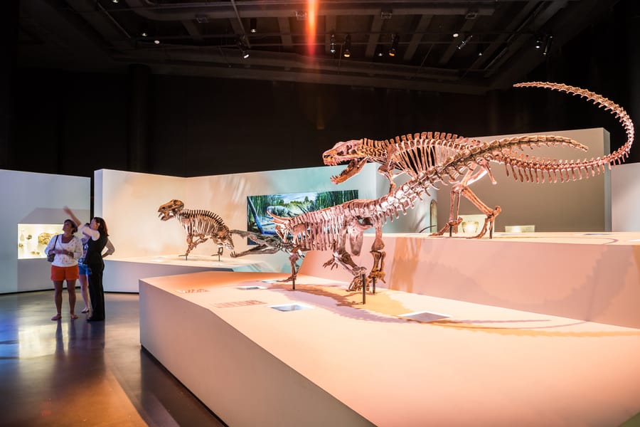 Houston Museum of Natural Science Hall of Paleontology 9