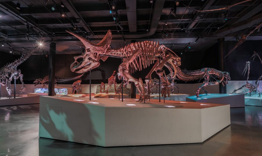 Houston_Museum_of_Natural_Science-Hall_of_Paleontology_11