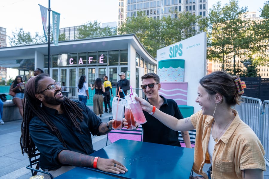 Center City District SIPS
