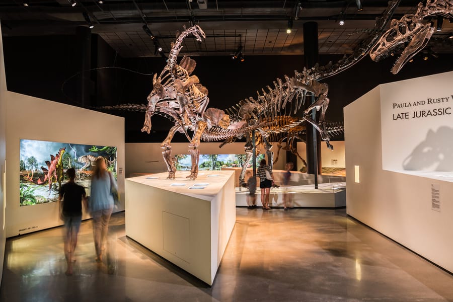 Houston Museum of Natural Science Hall of Paleontology 4