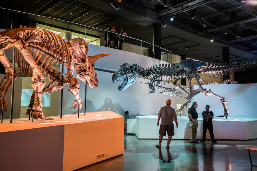 Houston Museum of Natural Science Hall of Paleontology 5